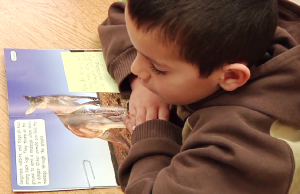 Reading is Fun!