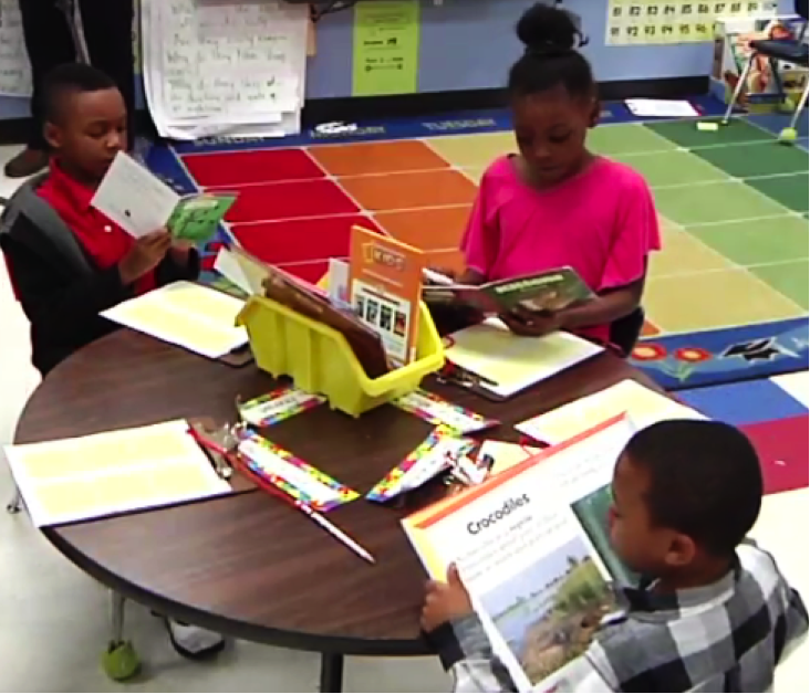 Independent Reading